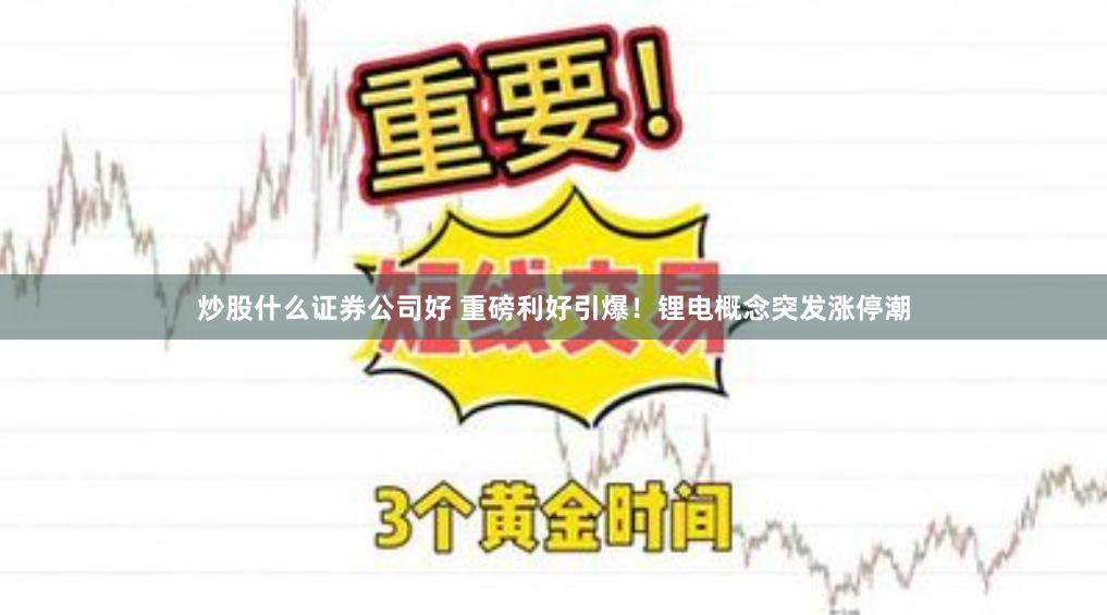 炒股什么证券公司好 重磅利好引爆！锂电概念突发涨停潮