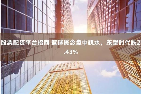 股票配资平台招商 篮球概念盘中跳水，东望时代跌2.43%